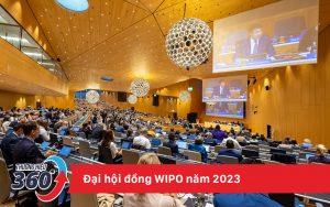 Read more about the article Thứ trưởng Bộ Khoa học và Công nghệ Nguyễn Hoàng Giang tham dự Đại hội đồng WIPO năm 2023